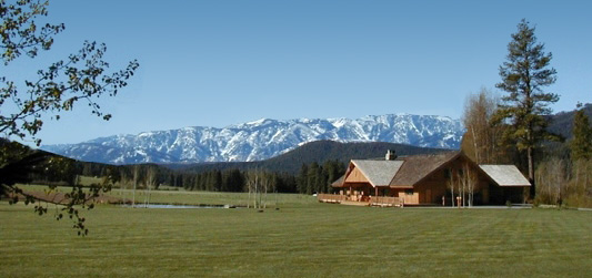Overview of Mountain Springs Resort